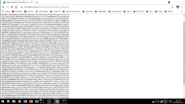 Instalando o VirtualBox no ambiente LXQt смотреть онлайн
