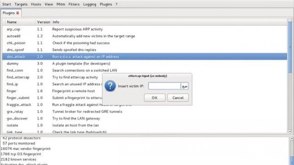 DDos on sites with ettercap kali Linux