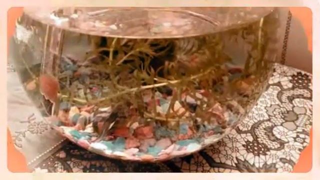 Рыбка Петушок