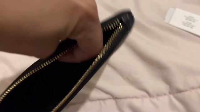 COACH Halloween Large Corner Zip Wallet Clutch | 2022 смотреть онлайн