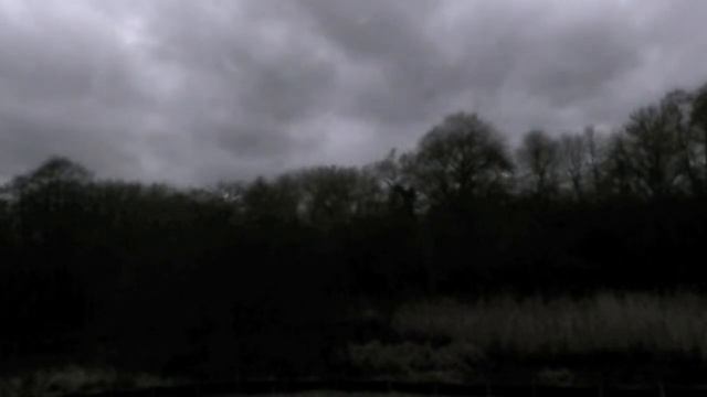 LIVE view from our UK office window! Please sub! смотреть онлайн