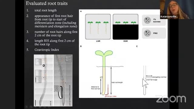 International Webinar Series - Day 5 - Dr. Katarzyna Retzer, Czech Republic смотреть онлайн
