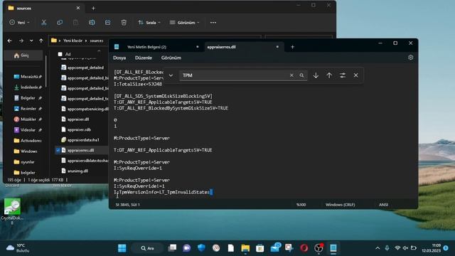 windows 11 TPM 2.0 yada secure Boot hatayı düzeltme смотреть онлайн