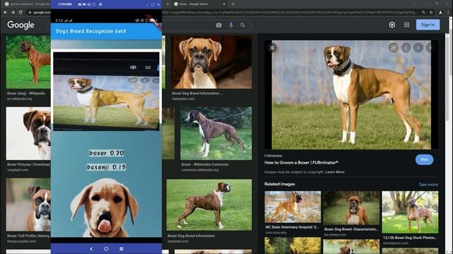 Dog Breed Identification using TensorFlow Image Classification Kaggle Solution - Flutter Course 202 смотреть онлайн