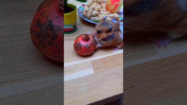 33 penats #whole plate of peanuts for fluffy #juicy pomegranates #ruddy apple смотреть онлайн