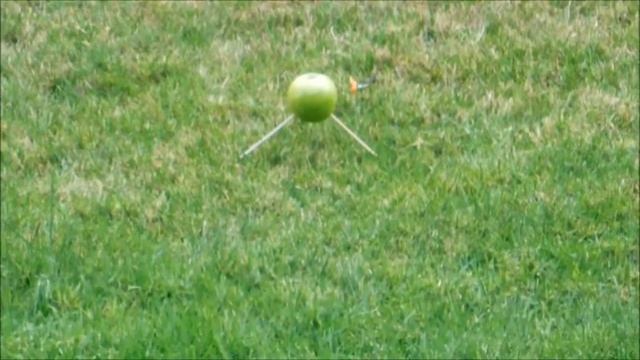 Archery Day with some apples. July 09, 2015 смотреть онлайн