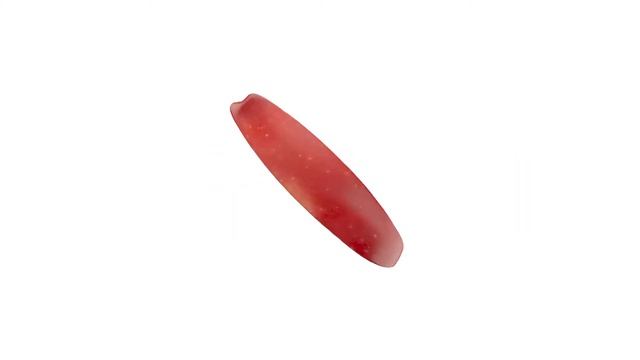 RED APPLE SLICE WITH SEED 3D MODEL & 144 HQ IMAGES FOR PURCHASE смотреть онлайн