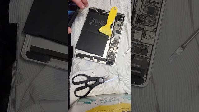 Ipad pro modal# A1674, 9.7 in 2016 Battery and connector Head replacement смотреть онлайн