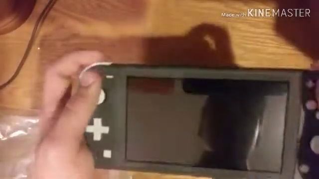 Nintendo Switch Lite + Pro Controller unboxing смотреть онлайн