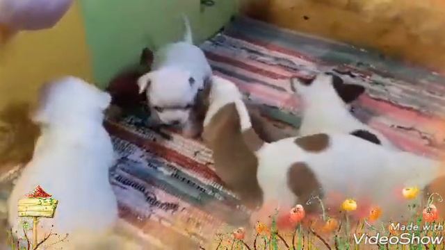 Ясельки😊😊😊