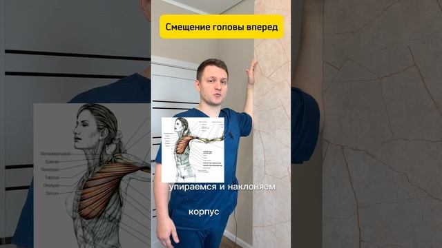 Смещение головы вперёд. Упражнения  #массаж #упражнения  #сутулость #растяжка