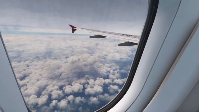 [MSFS2020] FENIX A320 SBCZ-SBPV смотреть онлайн