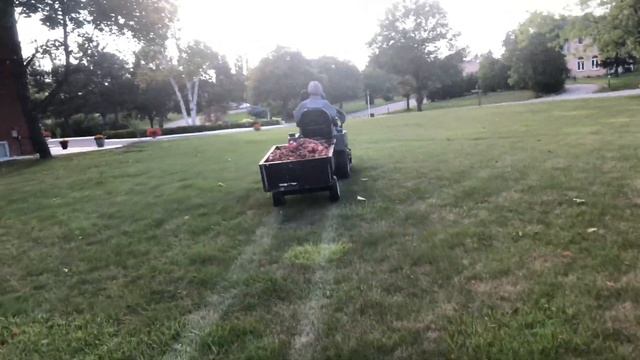 So many waste apples смотреть онлайн