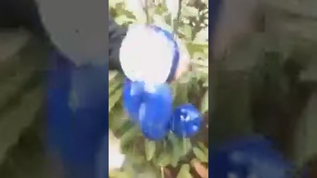 masallah new any apple colour in tree apple made in China смотреть онлайн