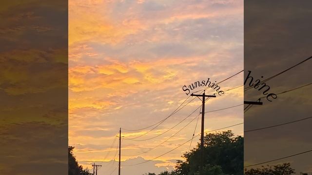 Apple Pie смотреть онлайн