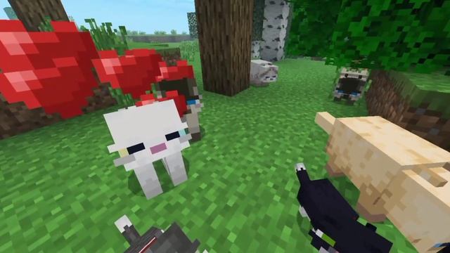 cute resources packs for your pets in minecraft🕊️ | pe and bedrock edition 1.19 смотреть онлайн