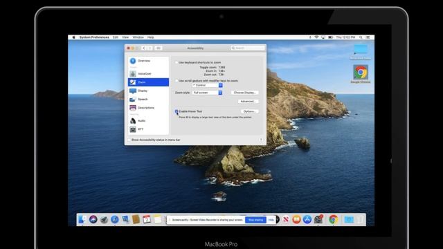 Low Vision Tools in ONE Minute: Mac- Zoom & Hover Text смотреть онлайн