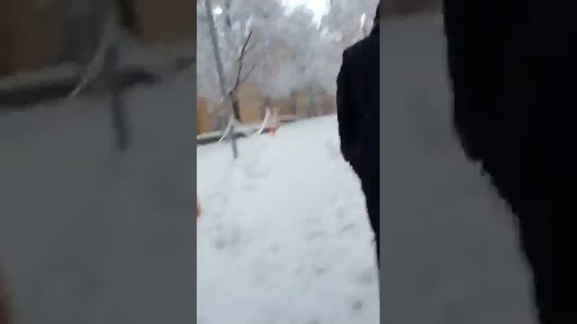 MTC Provo Utah (Dec 2016) Pt.1 смотреть онлайн