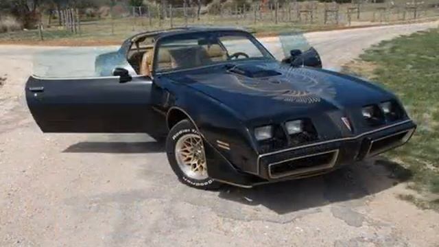 1981 Pontiac Firebird Trans Am Used Cars - Beaumont,TX - 2016-03-24 смотреть онлайн