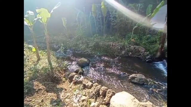 INDAHNYA PEMANDANGAN ALAM BERAN CANDEN SALATIGA смотреть онлайн