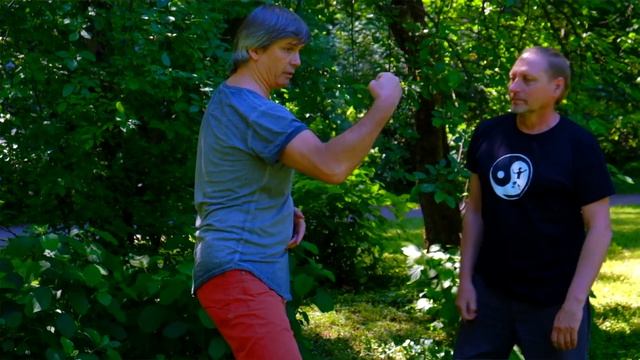 ТАЙЦЗИЦЮАНЬ, ЛОГИКА ПРИМЕНЕНИЯ 5 смотреть онлайн