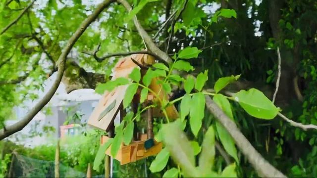 Natur - Smallrig Lens 1.55 for iPhone 14 max pro смотреть онлайн