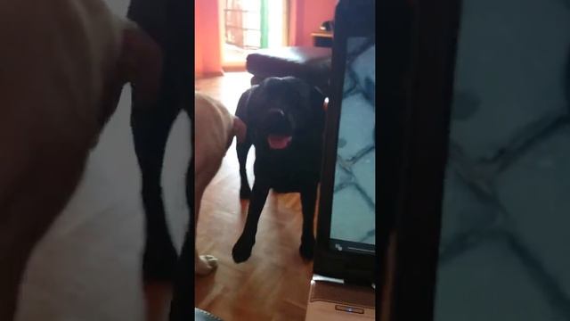 Salma i dźwięki z laptopa смотреть онлайн