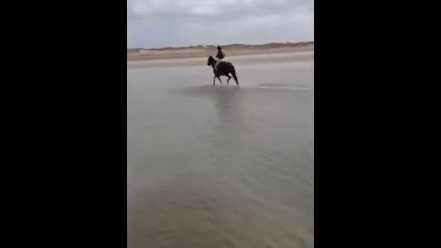 Lazy Mo.wmv смотреть онлайн