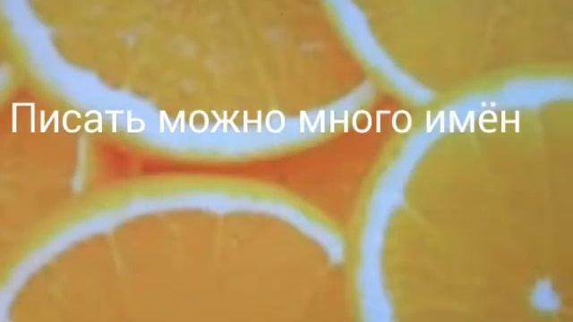 Выбираем имя шиншиллке! смотреть онлайн