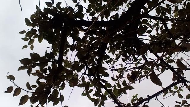 20241021_130436.mp4 смотреть онлайн