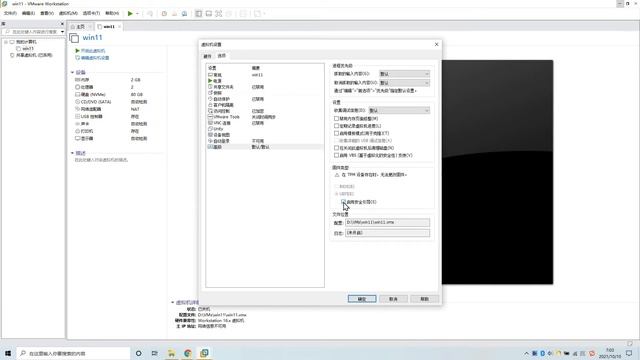 在虚拟机上安装 Windows 11 | TPM 设置 | 官方镜像下载 | 面向新手小白 смотреть онлайн