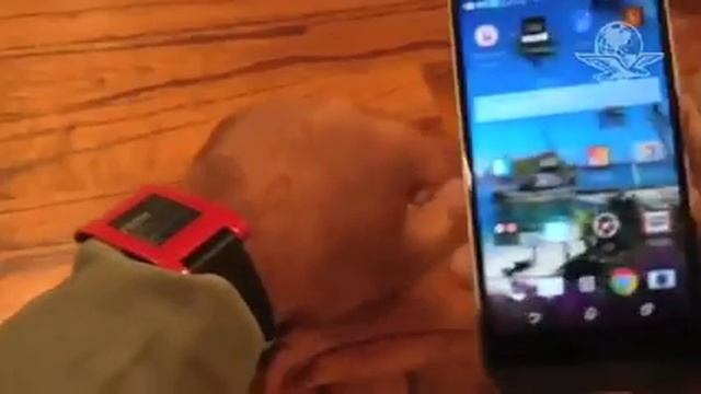 Se implanta chip en la mano para controlar iPhone 6 смотреть онлайн