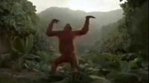 DANCE MONKEY 🙈 SONG AND REAL MONKEY DANCE