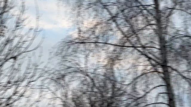 iPhone 14 Pro camera problem when zooming (77mm lens) iOS 17.2 смотреть онлайн