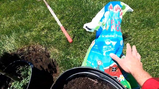 Planting Apple Trees: A Minute W/ A Guy Who Thinks Everyone Should Have A Garden