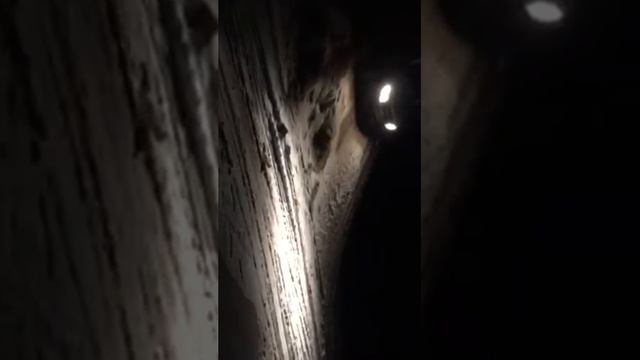 Дастер прикол ржач смотреть онлайн