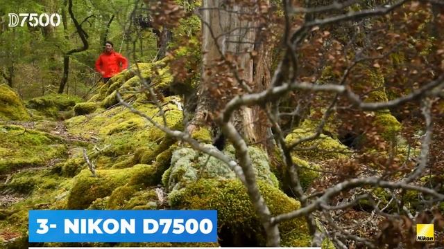 TOP 5 Best DSLR Camera (2021) смотреть онлайн