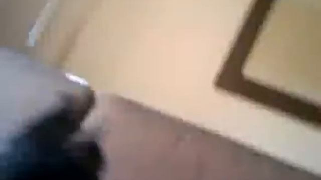 Beton vs. költözés 1 смотреть онлайн