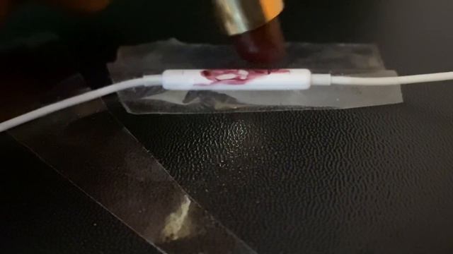 1 min ASMR | Apple earphone mic | Short and raw sounds 💨😴 смотреть онлайн