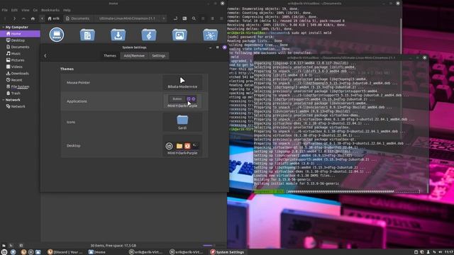 ArcoLinux : 3191 Visiting Linux Mint Cinnamon - ricing script смотреть онлайн
