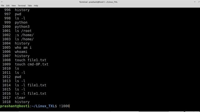 Linux History and Script Commands смотреть онлайн