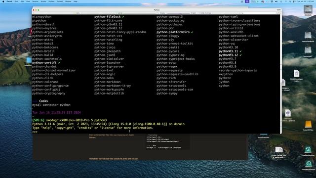 IT-566: How To Install Python on Mac and Windows смотреть онлайн