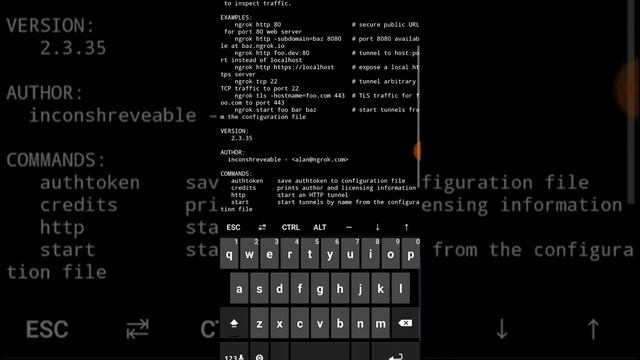 How to forward your Port or IP with Ngrok..👍👍 full video's commands are in description смотреть онлайн