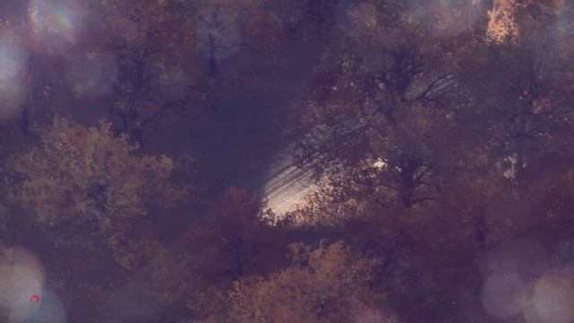 DRL-SpeedFAN 2022 №1 (DIRT RALLY 2.0) смотреть онлайн