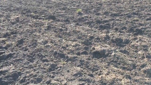 Самодельная сцепка борон в роботе смотреть онлайн