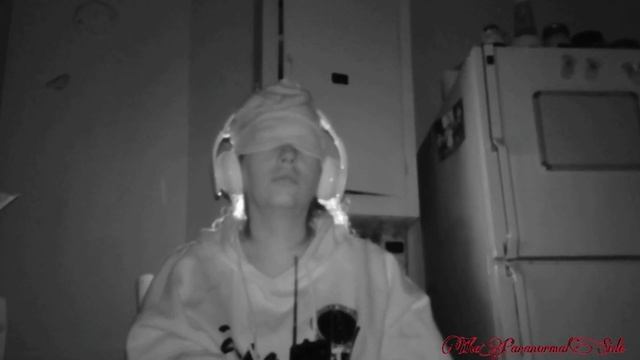Peek-A-Boo Spirits (Residential Investigation) The Paranormal Side. смотреть онлайн