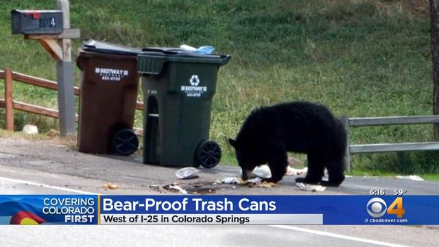 Colorado Springs Residents West Of I-25 Must Get Bear-Proof Trash Cans смотреть онлайн
