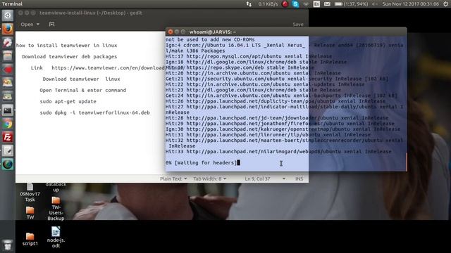 How to Install TeamViewer (remote desktop) Version on Linux смотреть онлайн