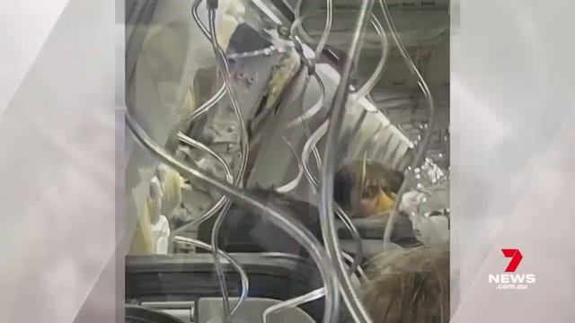 A commercial plane door blows out in a terrifying mid-air emergency | 7 News Australia смотреть онлайн