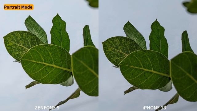 Asus Zenfone 9 vs iPhone 13 Camera Test смотреть онлайн